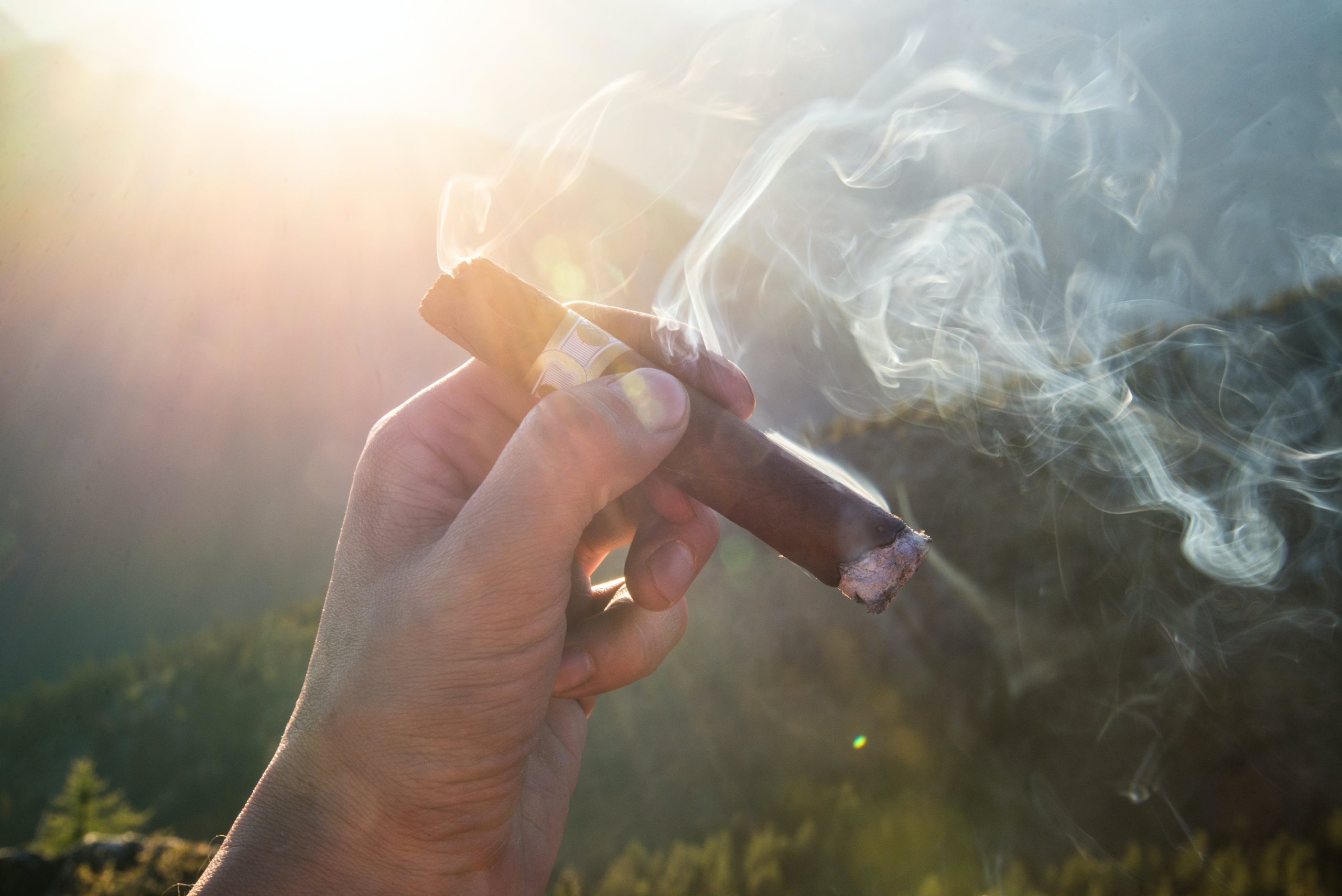 Cigar held with smoke as sun sets, beautiful nature background